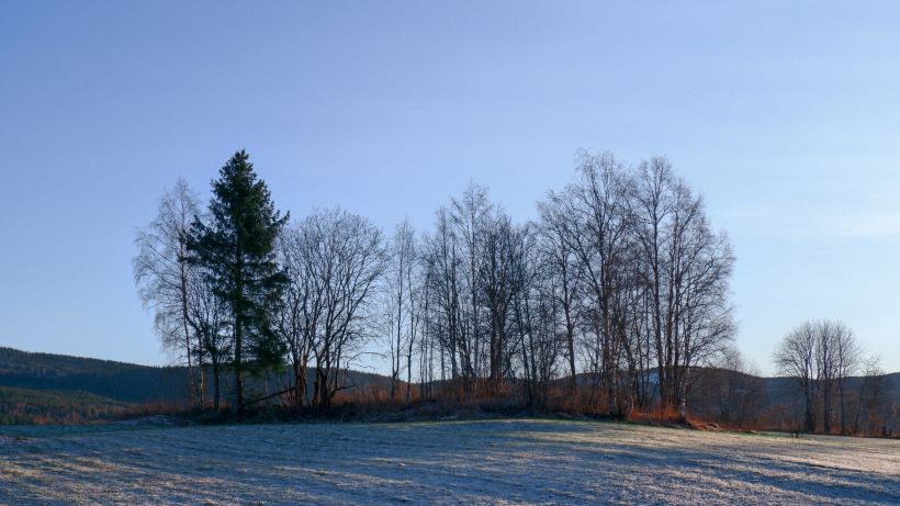 renholdsfirma Hurdal