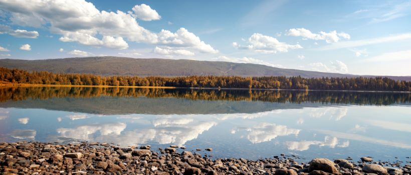 renholdsfirma Steinkjer